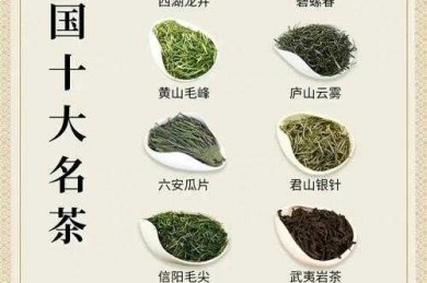四大名茶的品种（湖北四大名茶）