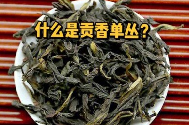 最贵的茶是哪种茶（中国什么茶最贵）